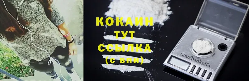 Cocaine Эквадор  shop официальный сайт  Электросталь 